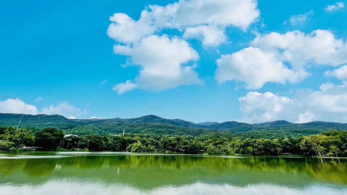 Chiang Mai University