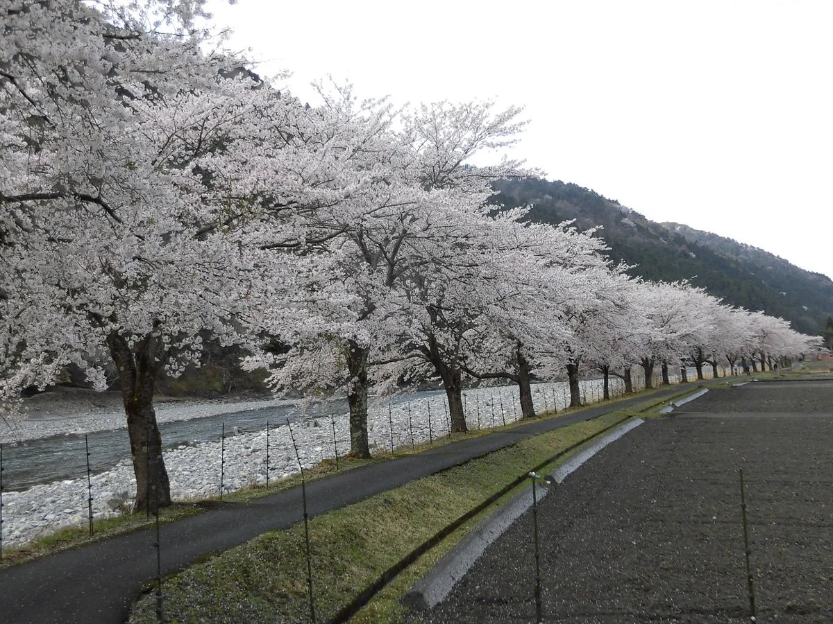 Kuwanobashi Kasen Park