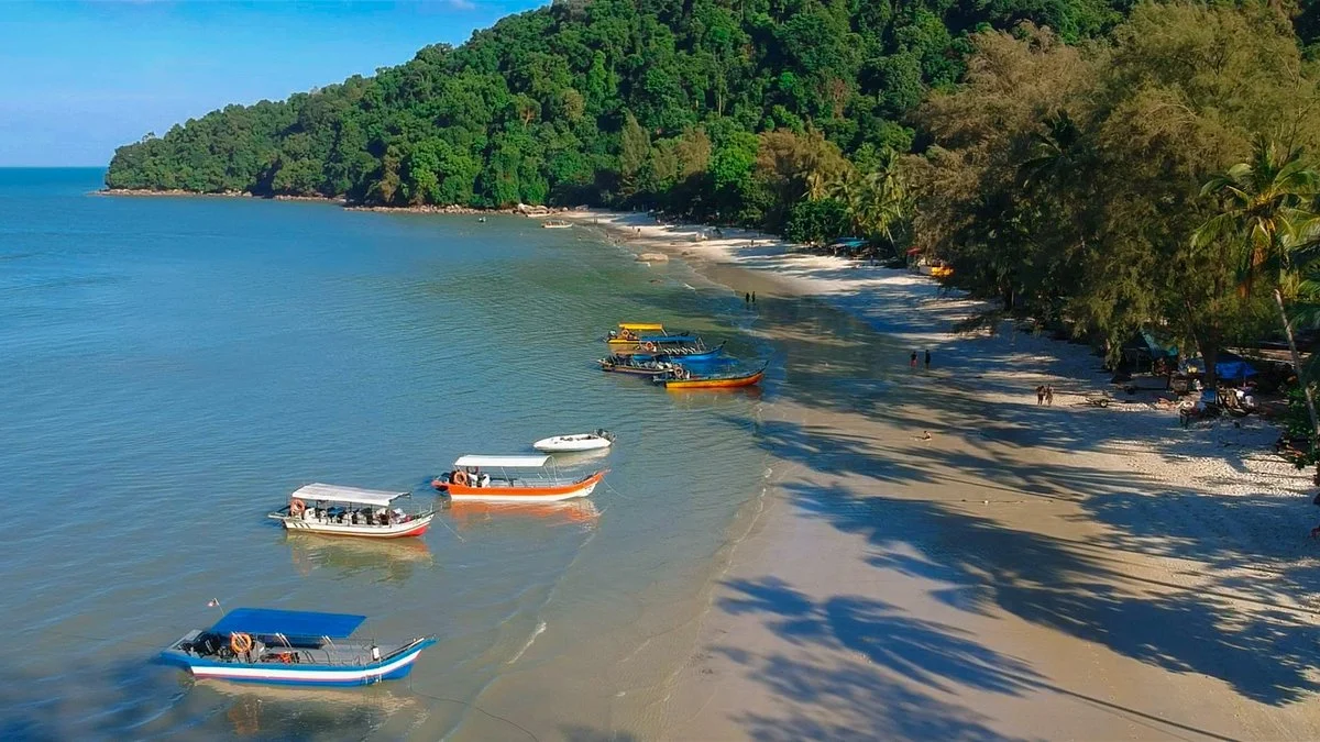 Monkey Beach