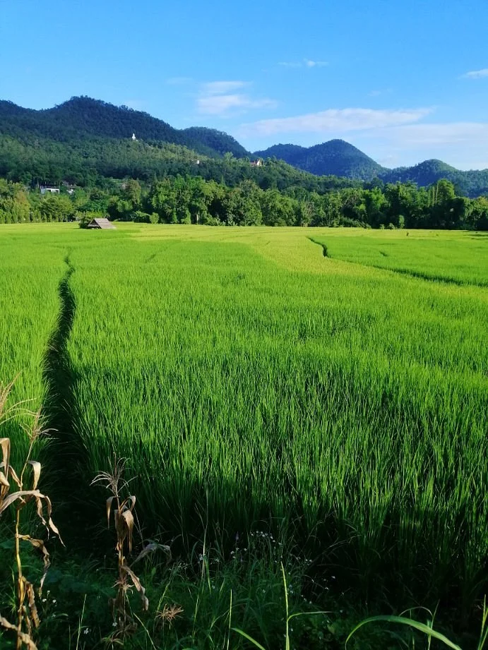 Mae Ping Long Neck Village