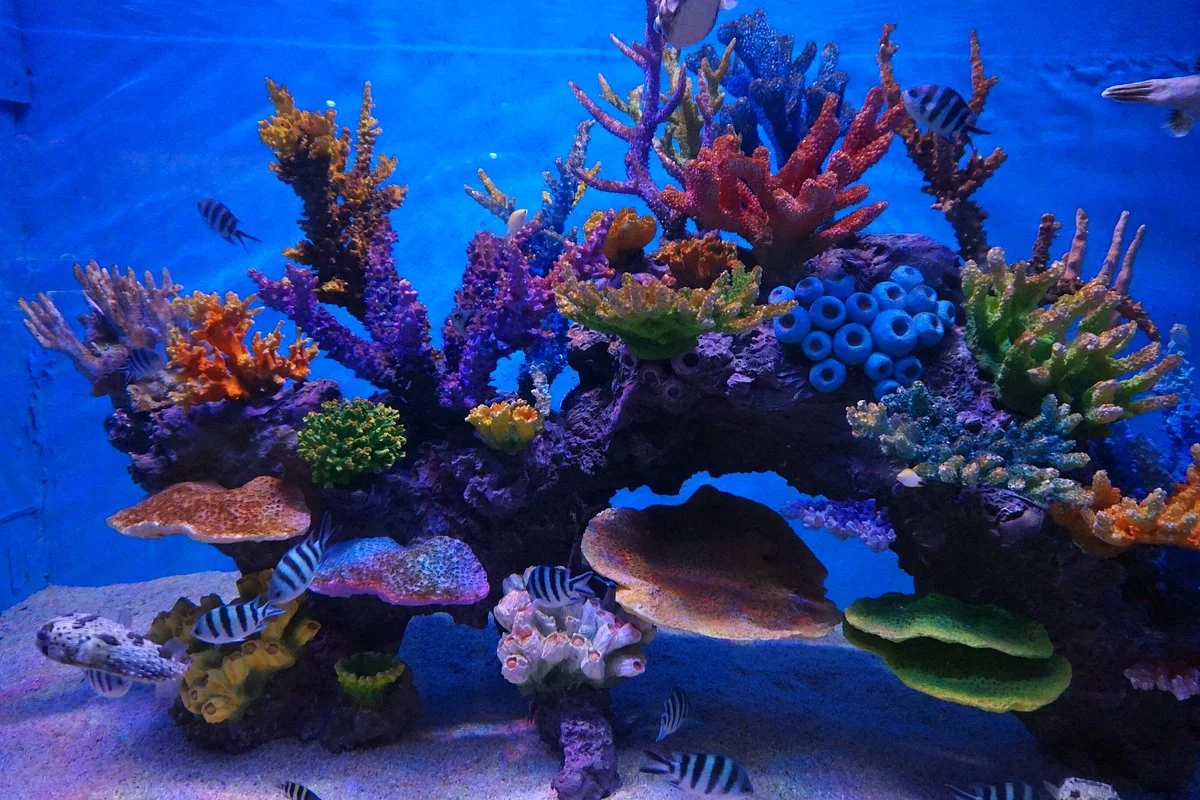 Taizhou Sea World
