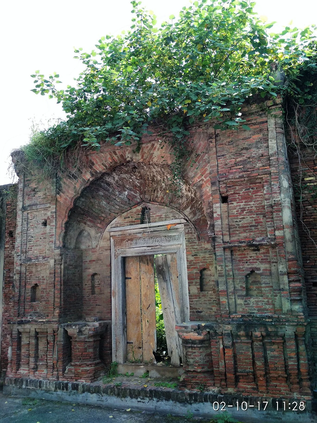 Raipur Rani
