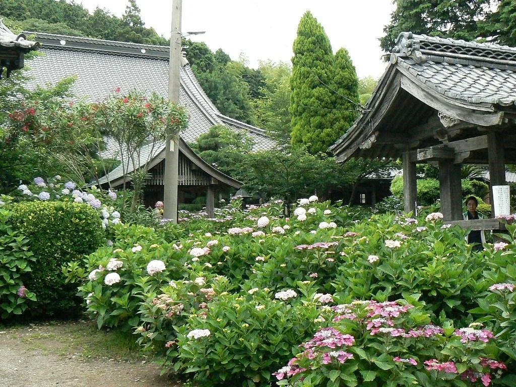Kotokuzenji Temple