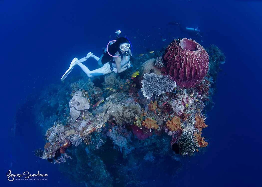 Let's Dive Tulamben