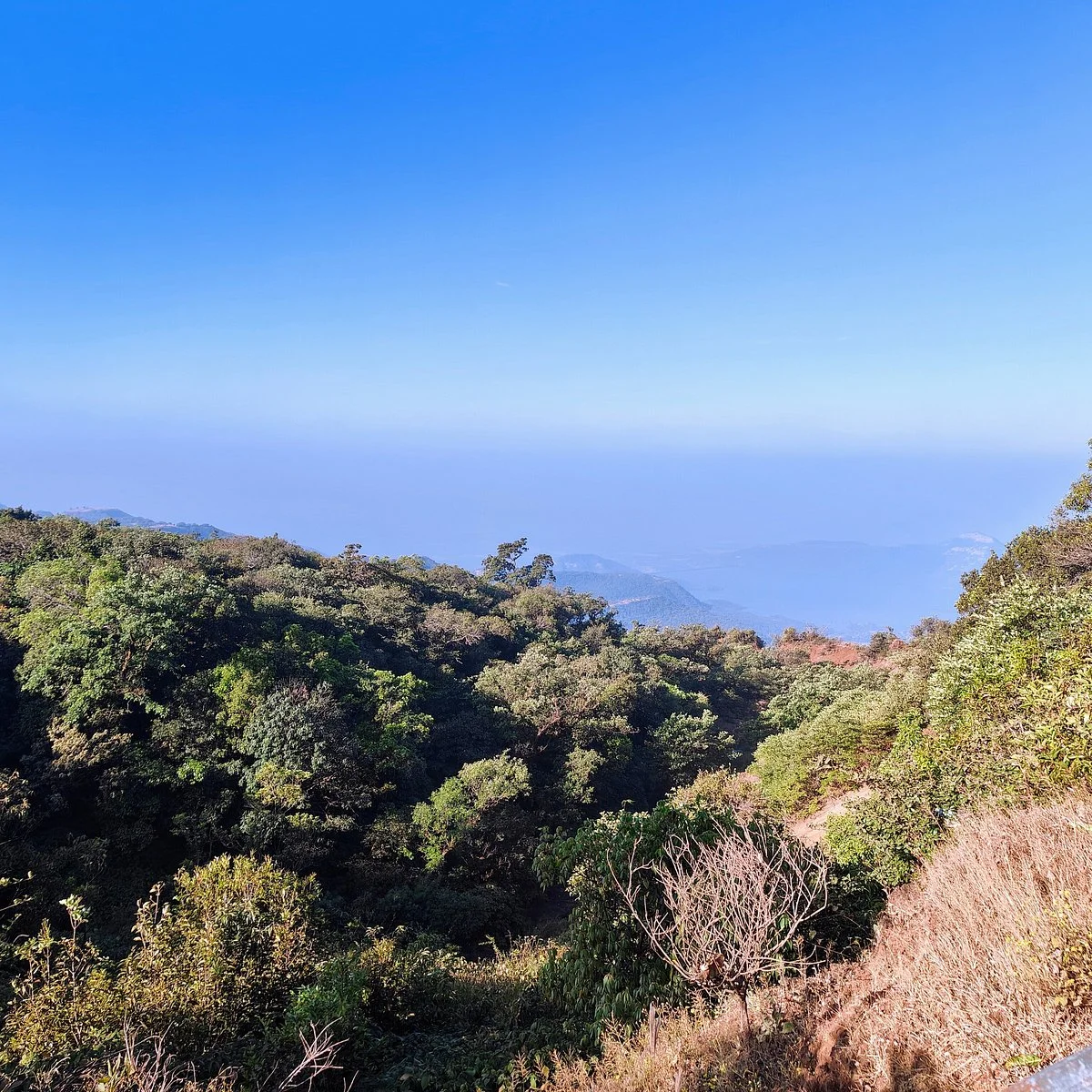 Dajipur Wildlife Sanctuary