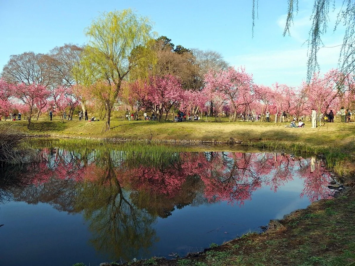 Koga Kubo Park