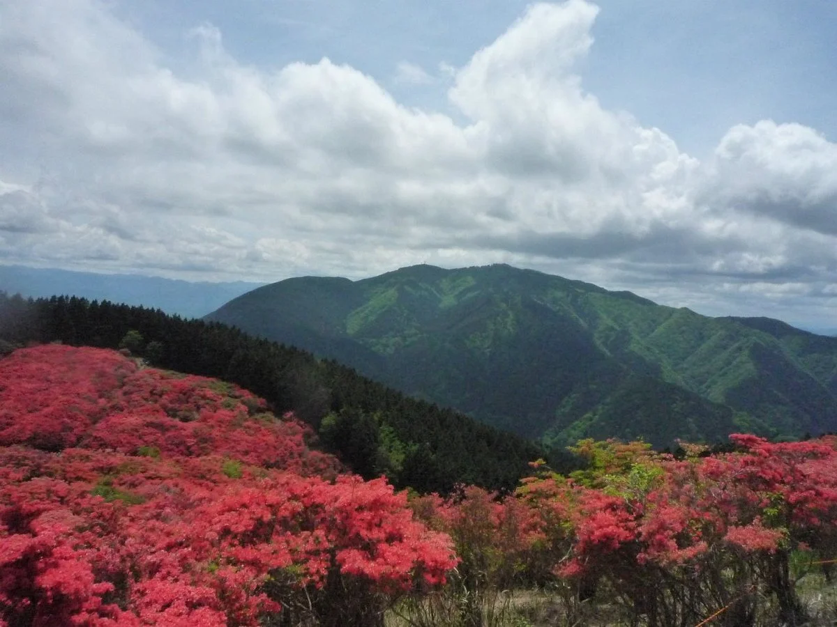 Katsuragi Sanroku Park