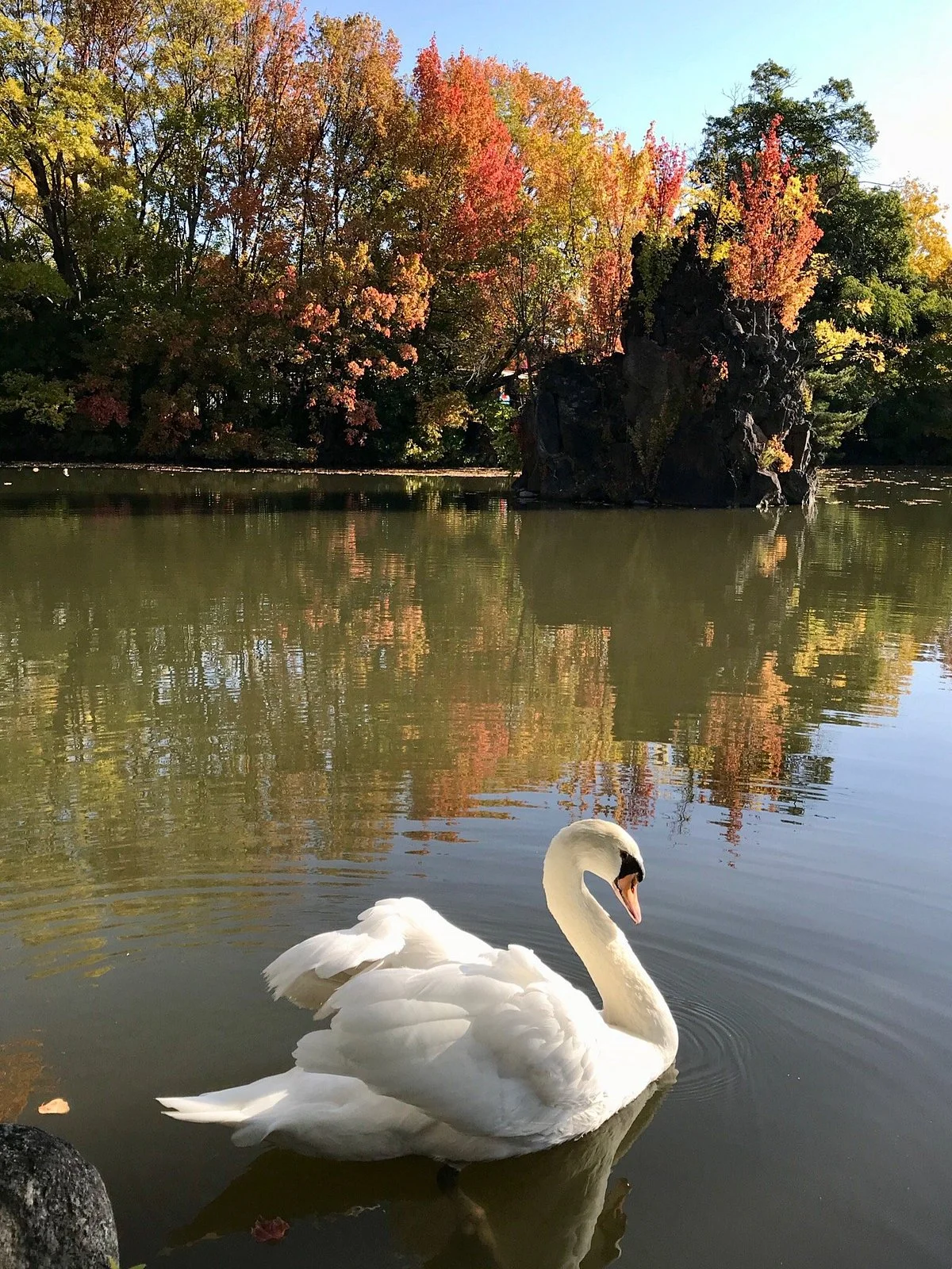 Kofu City Yuki Park Zoo