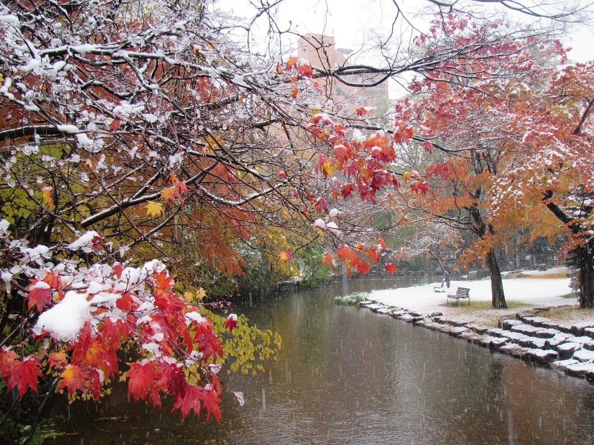 Kamokamogawa River