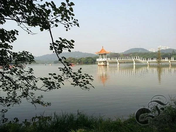 Dafu Mountain Forest Park