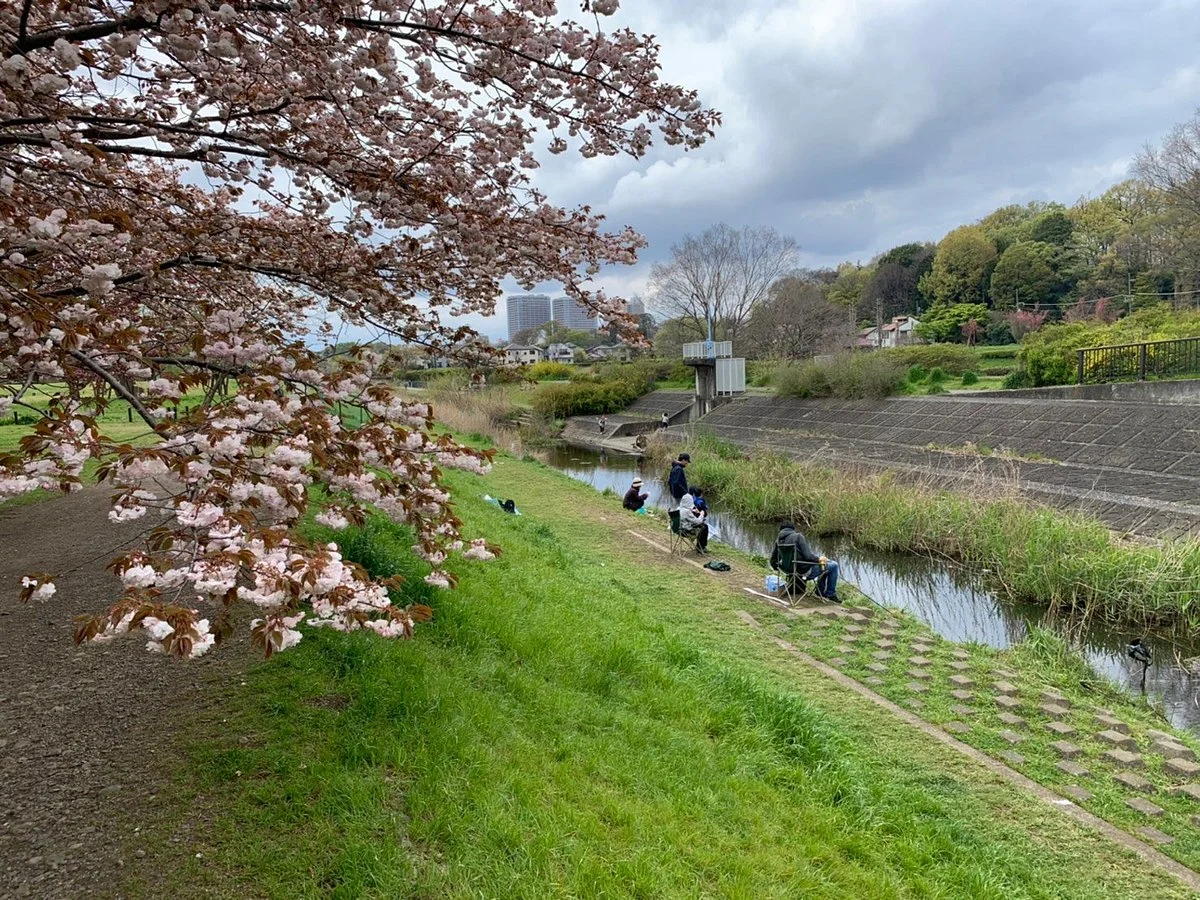Nogawa Park