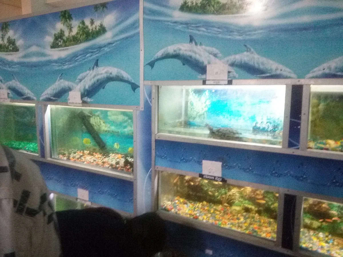 State Aquarium