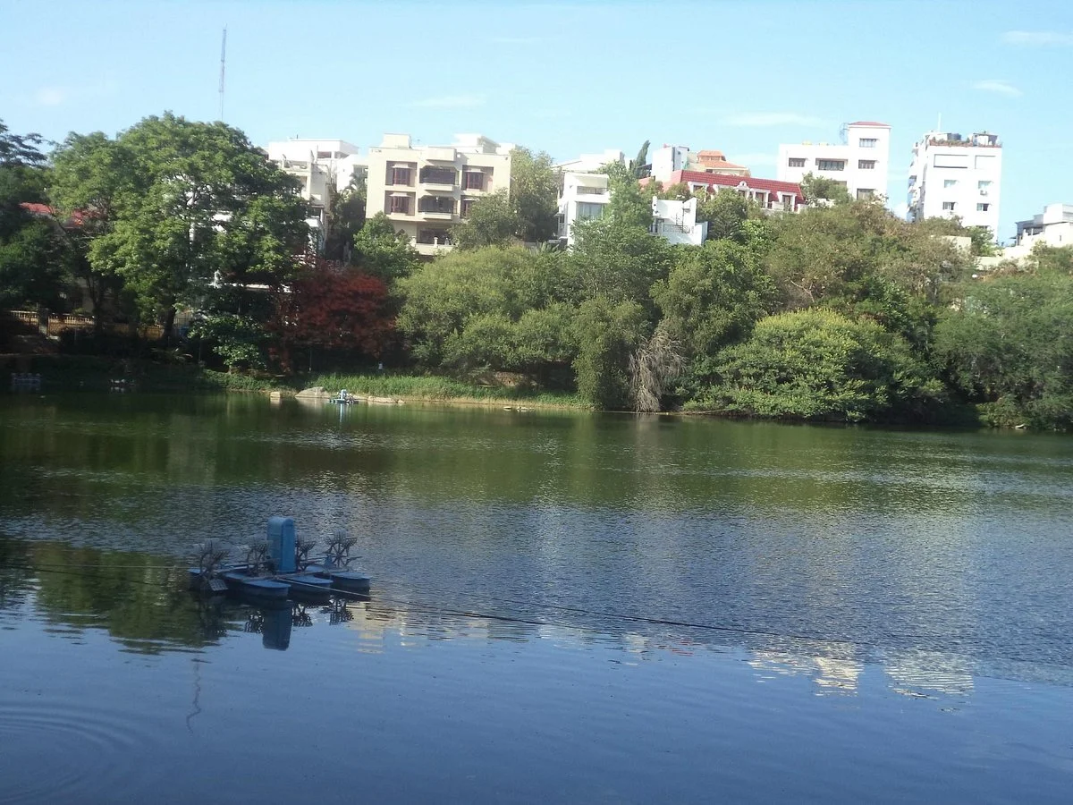 Lotus Pond