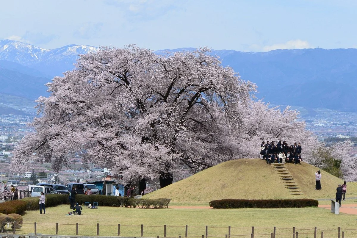 Yashiro Furusato Park
