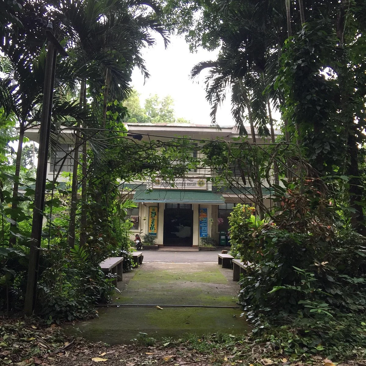 UPLB Museum of Natural History