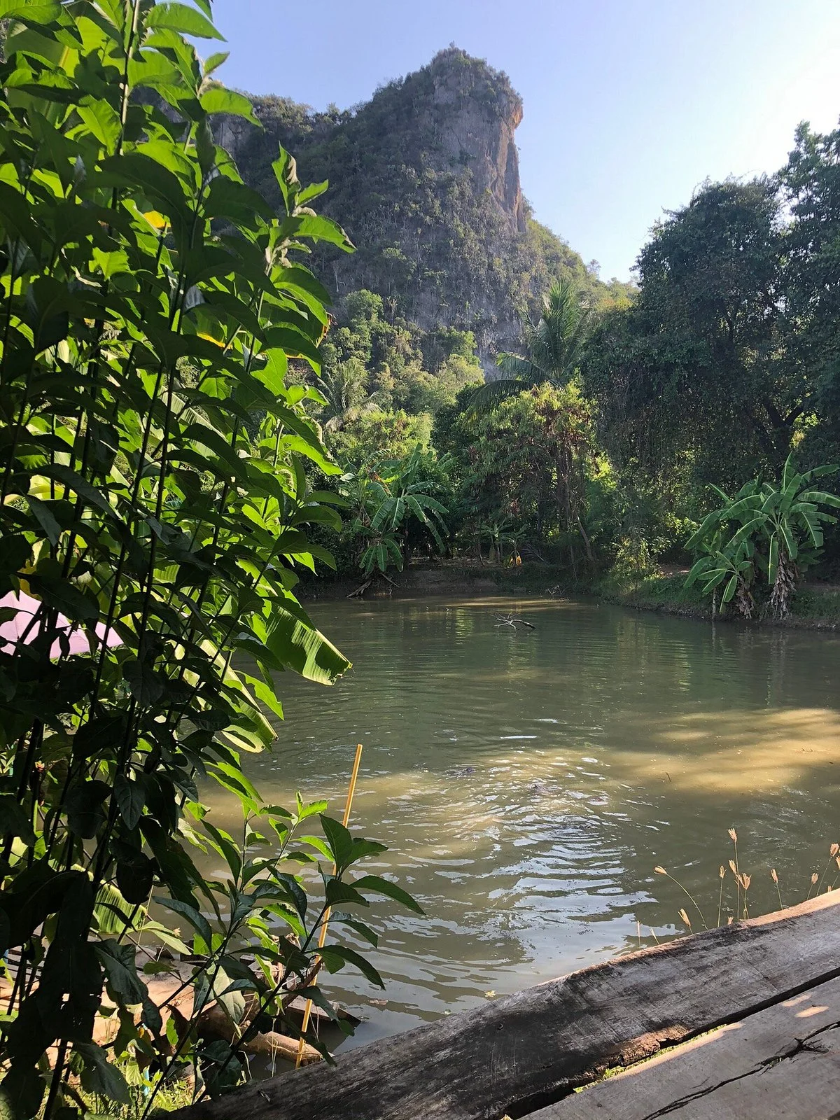 Nayang Bat Cave