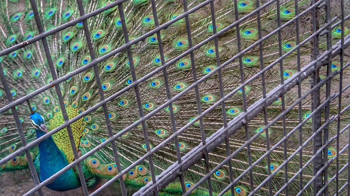 Malabon Zoo