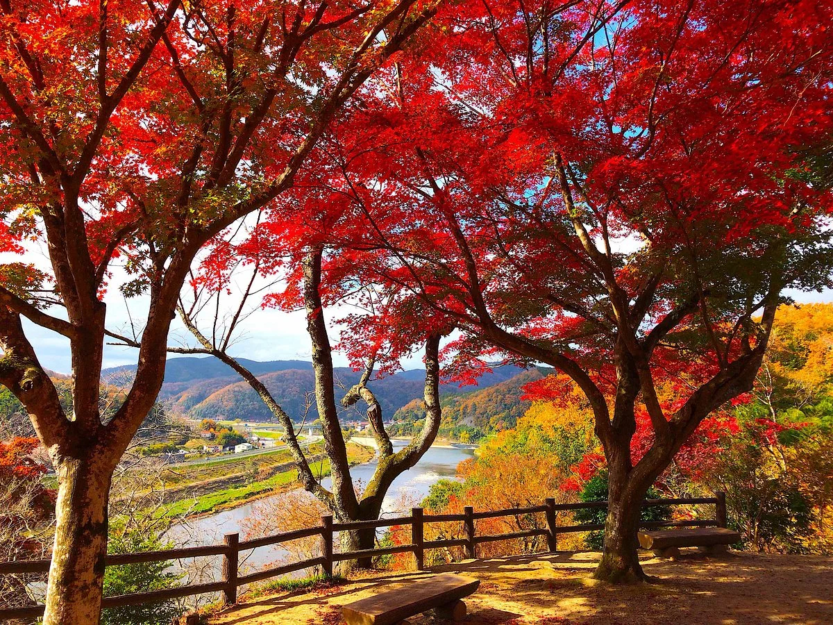 Ozekiyama Park