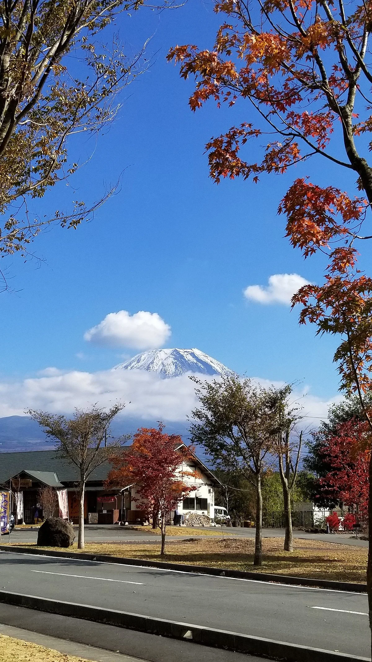 Asagiri Food Park