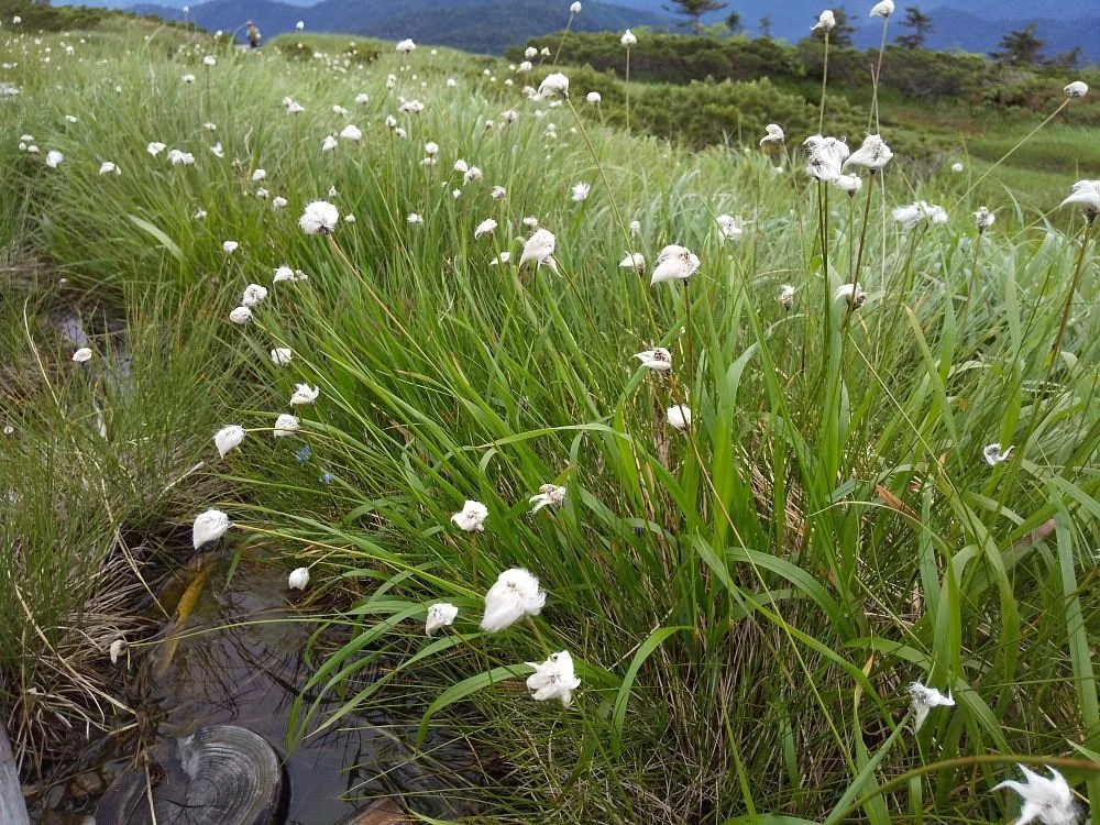 Mt. Hiragatake