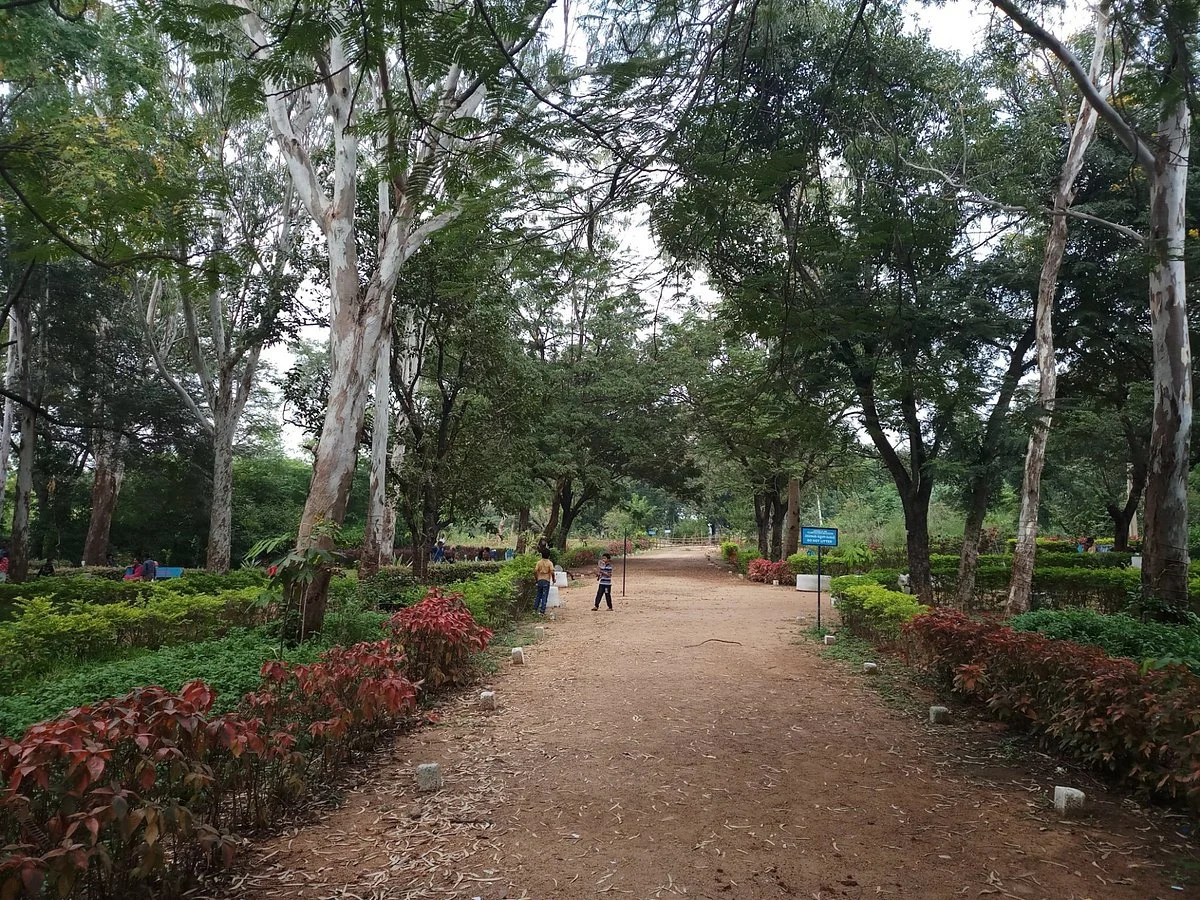 Himayat Sagar Lake