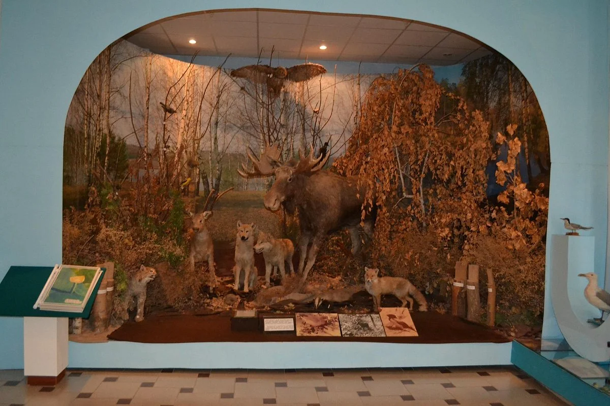Nature and Ecology Museum