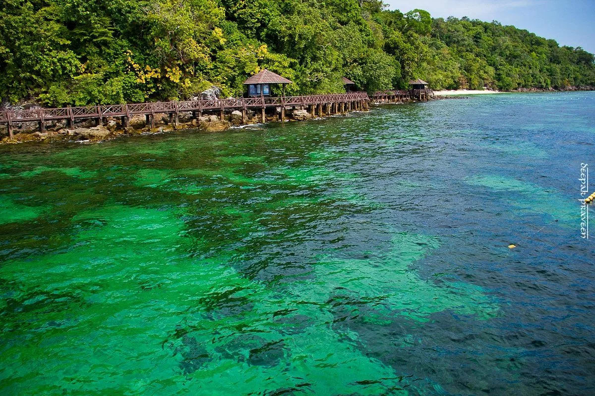 Langkawi Coral