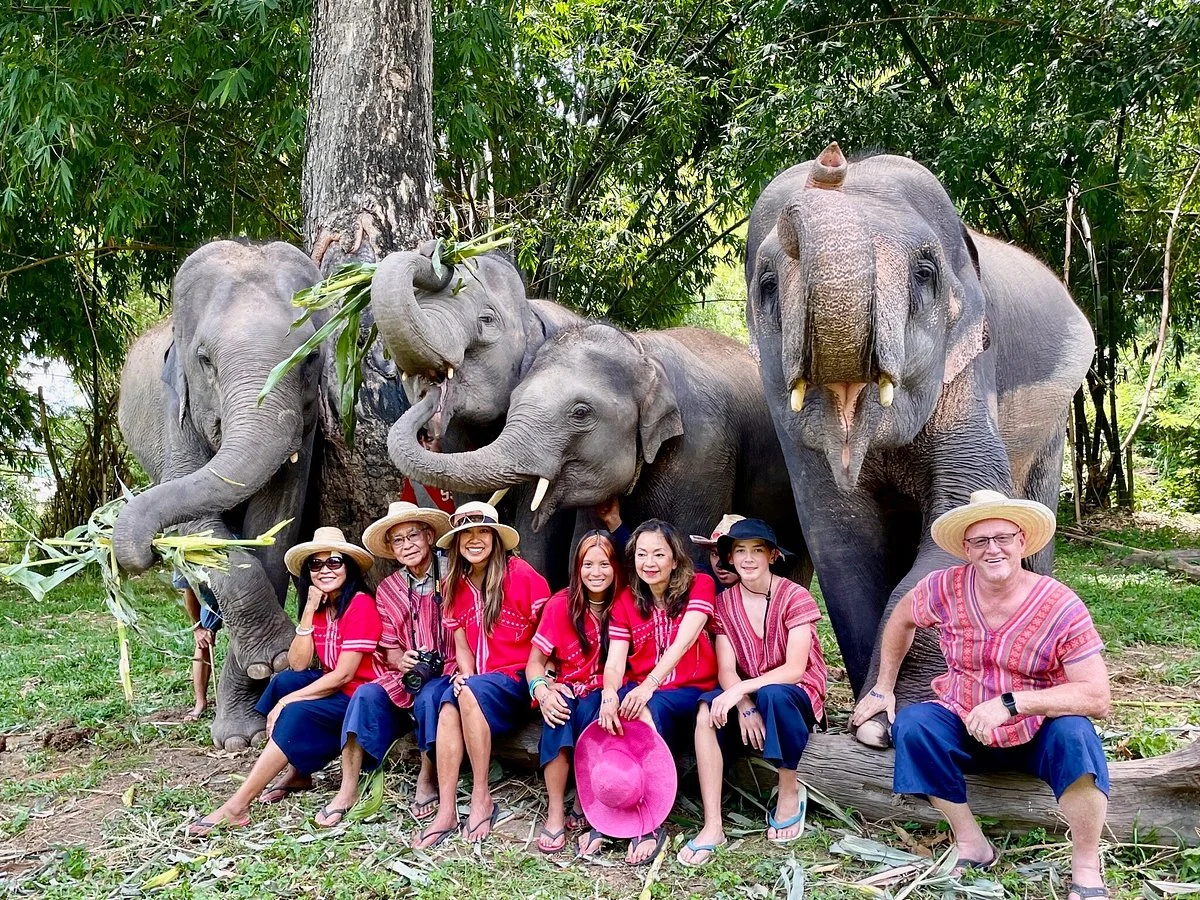 Maerim Elephant Home