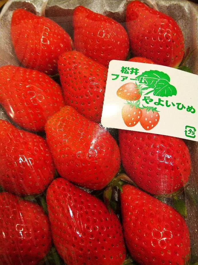 Matsui Farm
