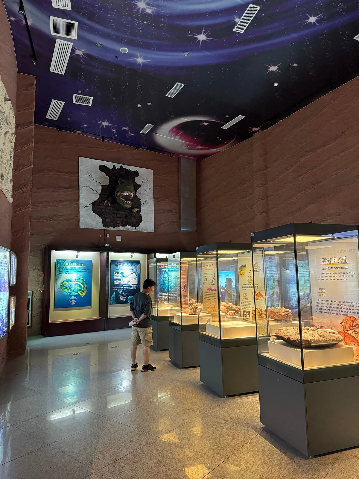 Dinosaur Fossils Museum