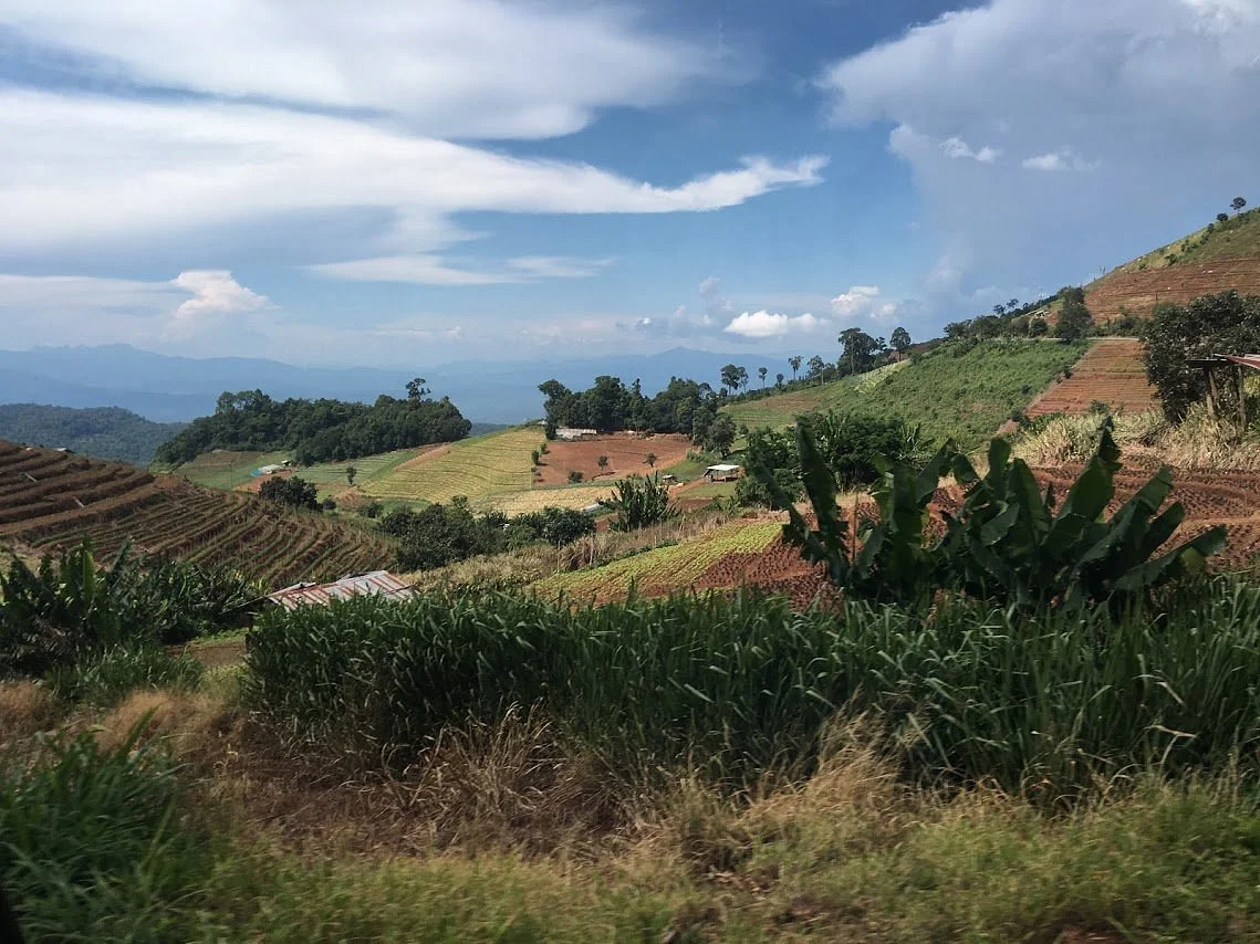 Nong Hoi Royal Project