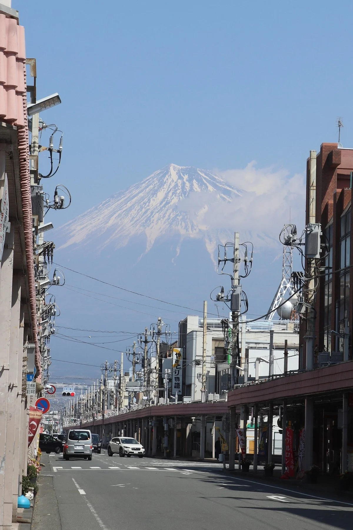 Fuji Honchodori