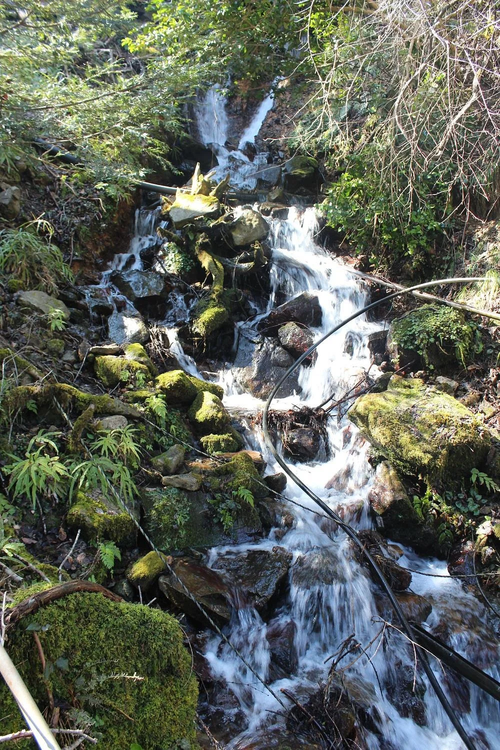 Shimootomi Waterfall