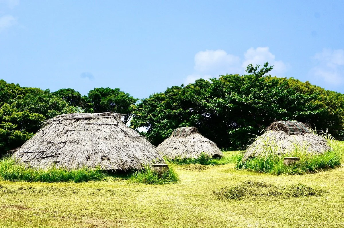 Nakabaru Site