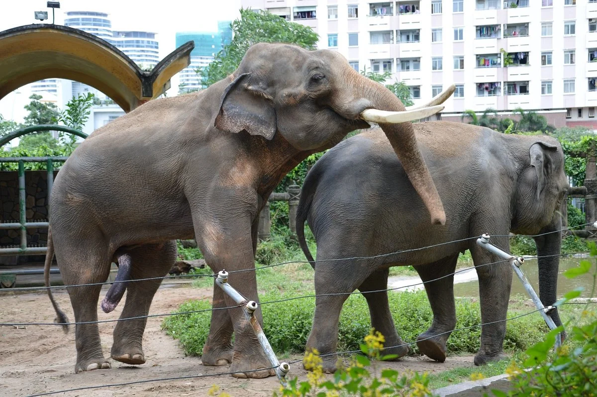 Zoo and Botanical Gardens
