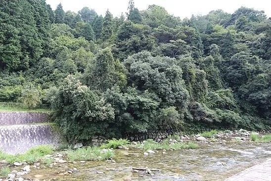 Nibukawa Valley