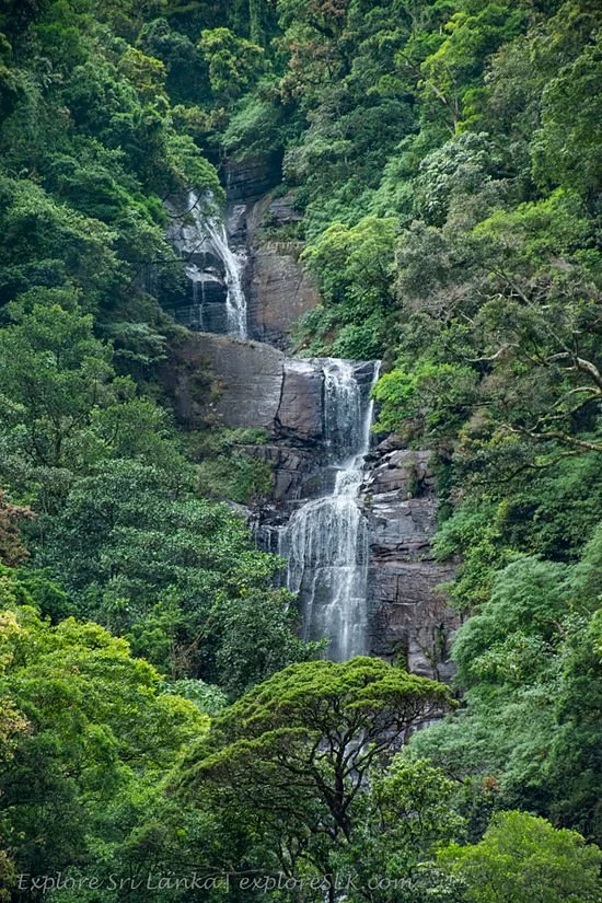 Kolapathana Falls