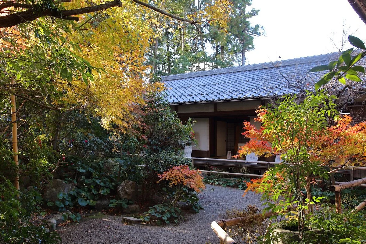 Umoreginoya