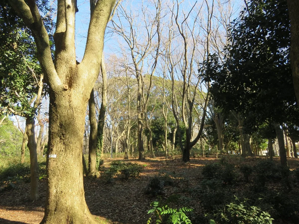 Gyoda Park