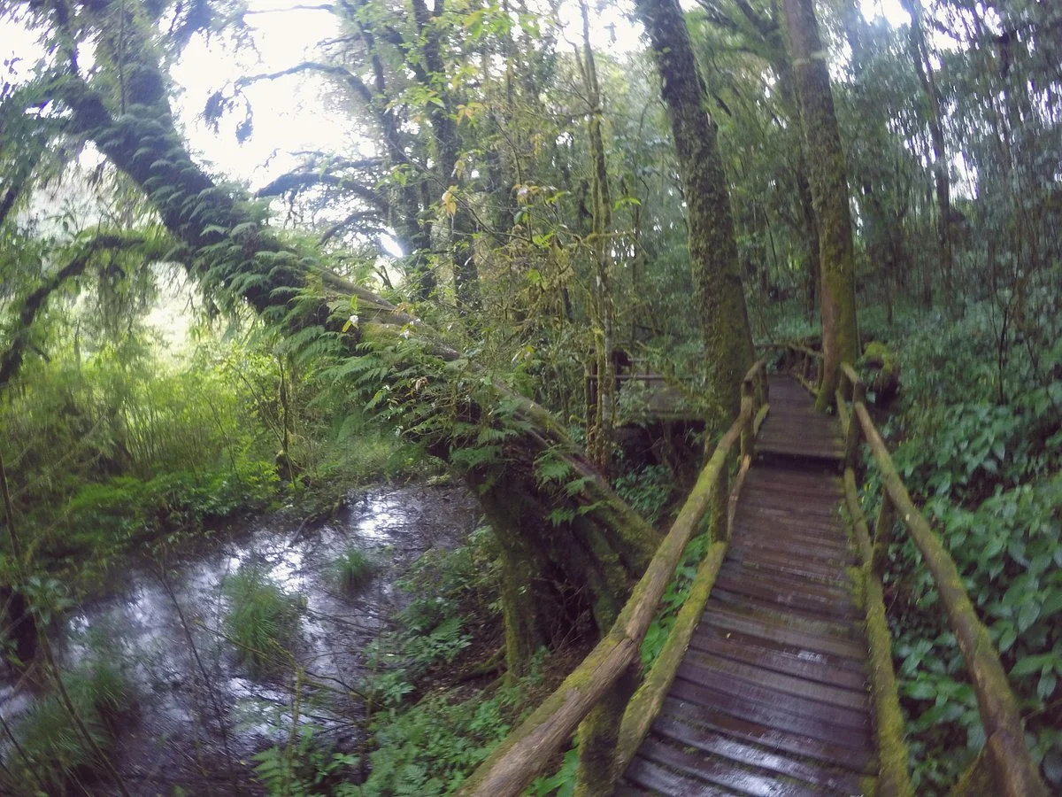 Nature Trails Ang Ka