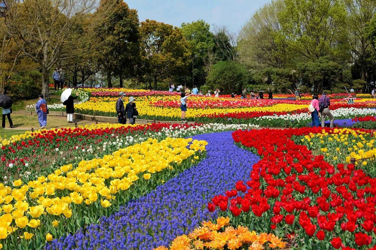 Kiso Sansen Park Center