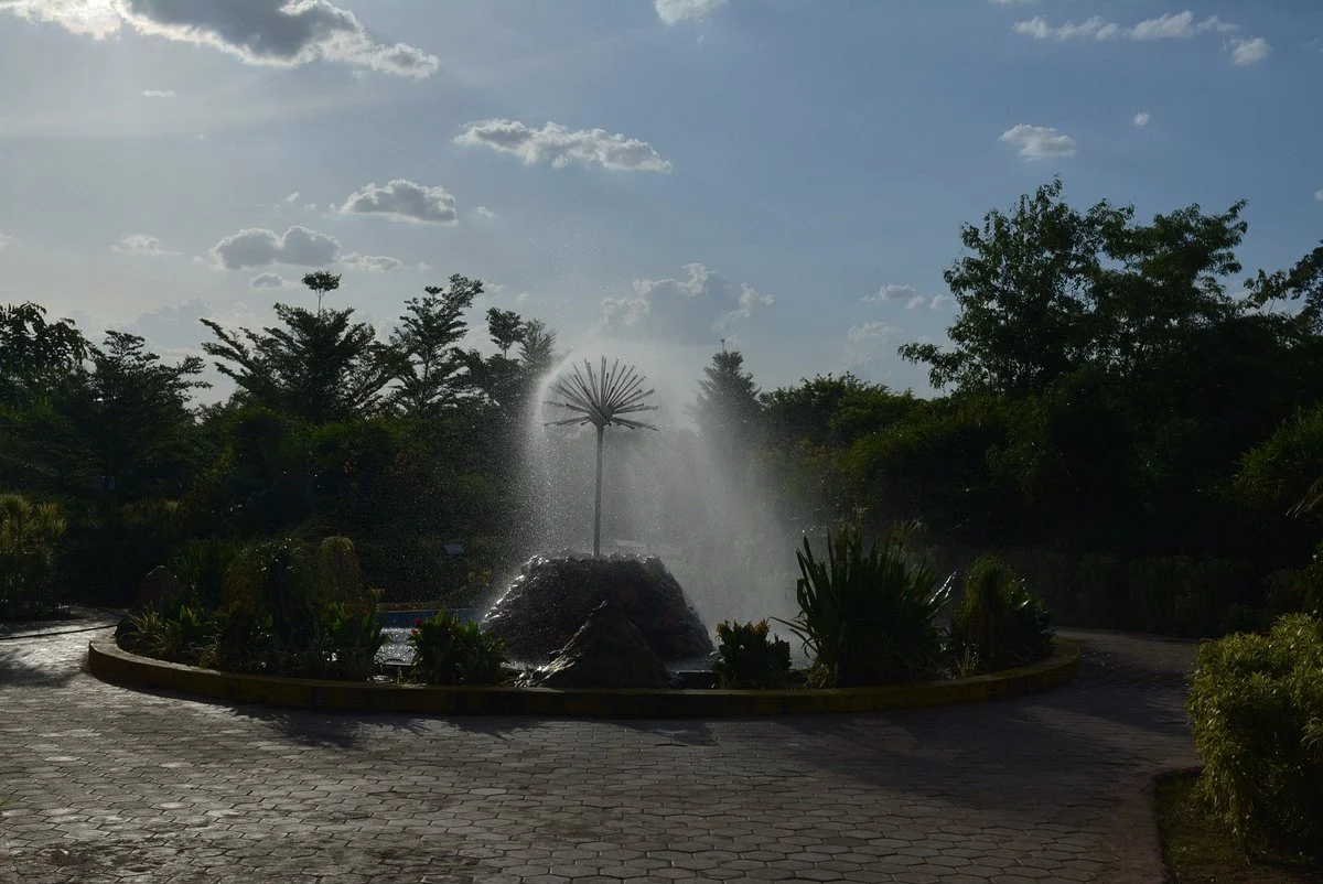 Butter fly park