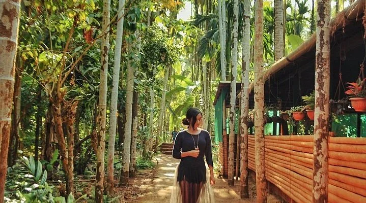 Rustic Plantation