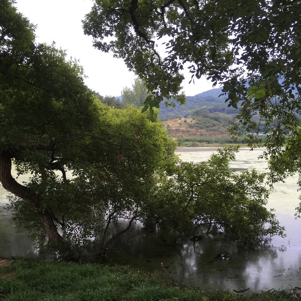 Bangokji Reservoir