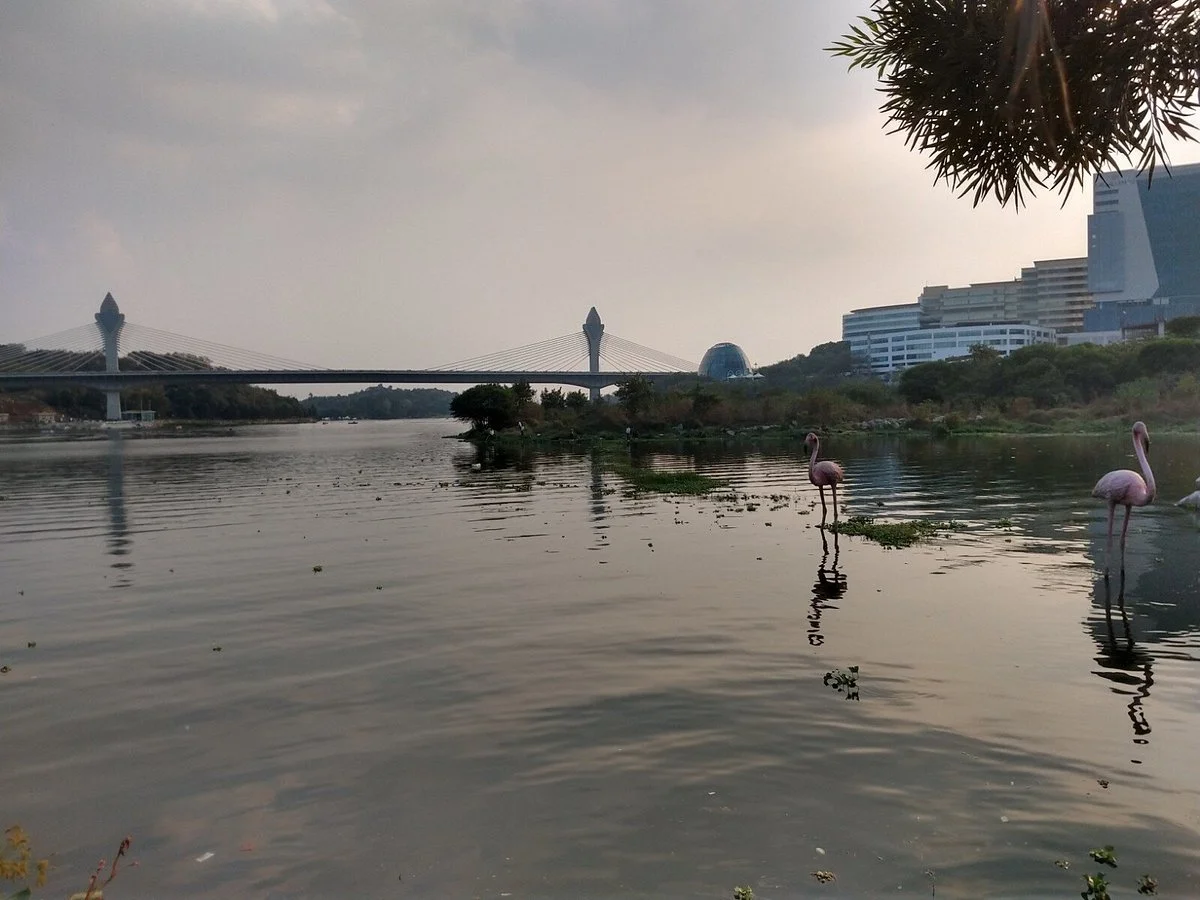 Durgam Cheruvu Lake