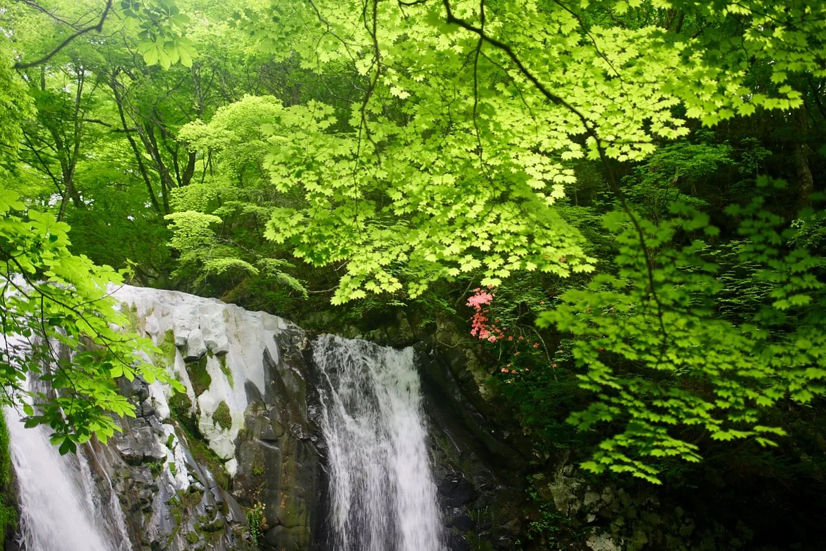 Komorebi Falls