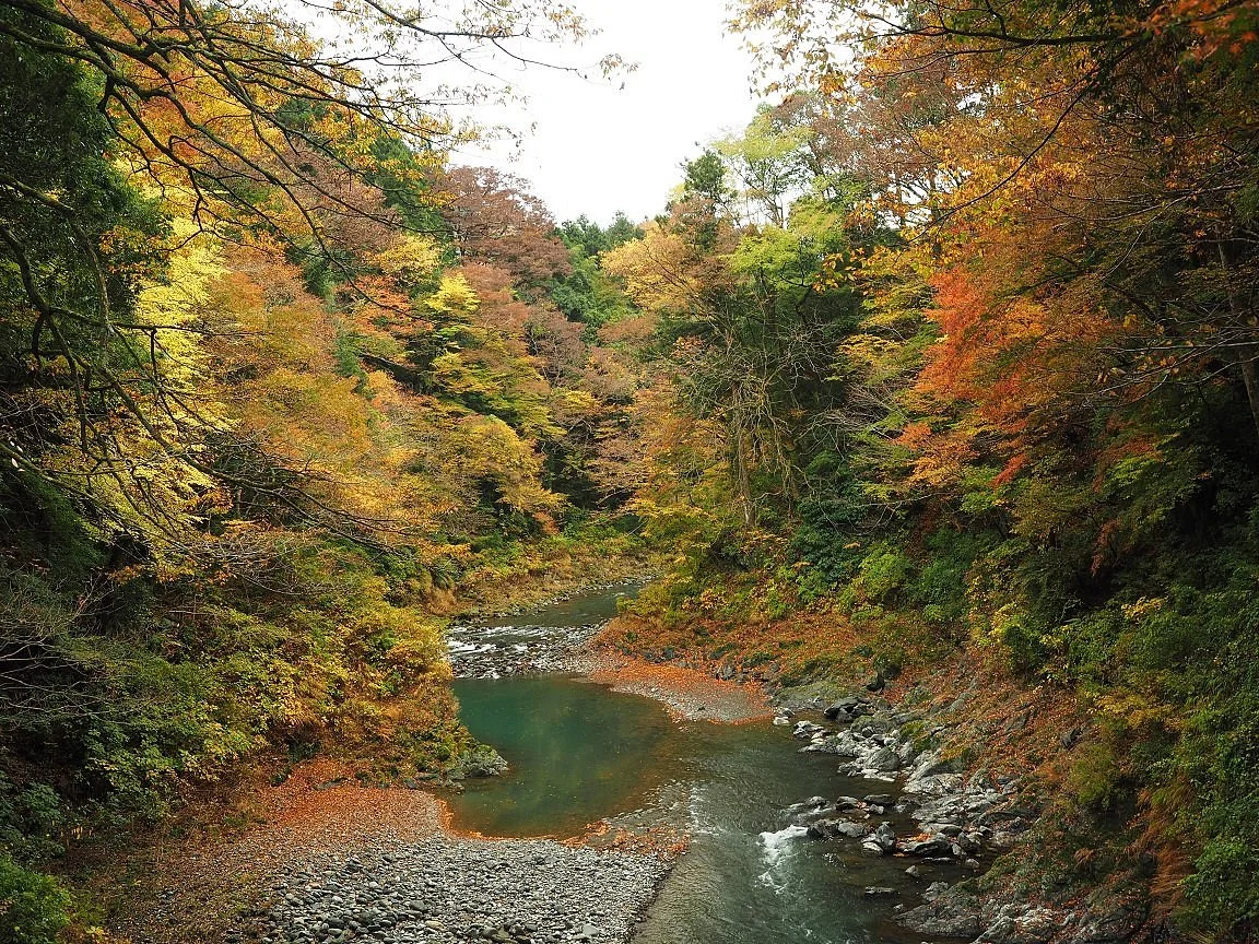 Toke Bridge