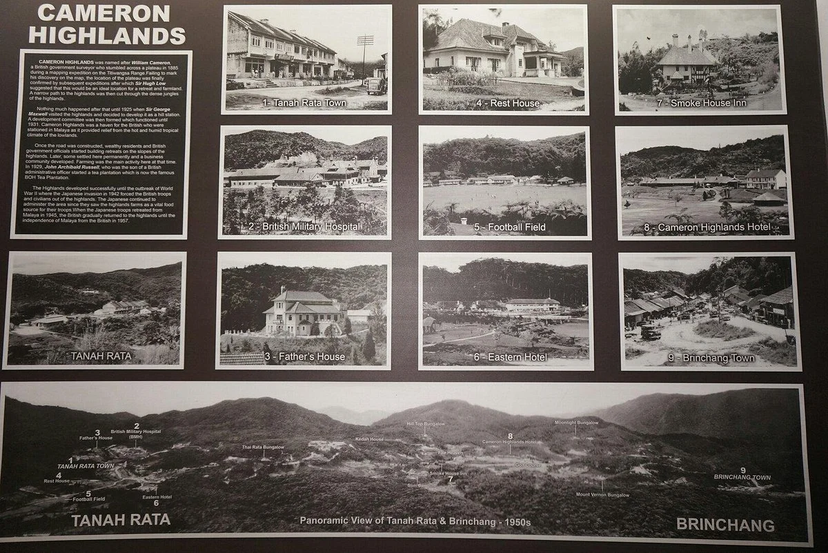 Cameron Highlands discover the history