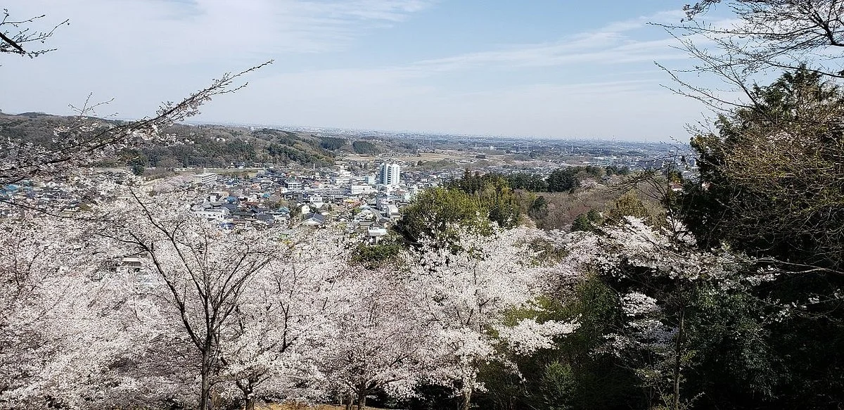 Sakuranoyama Park