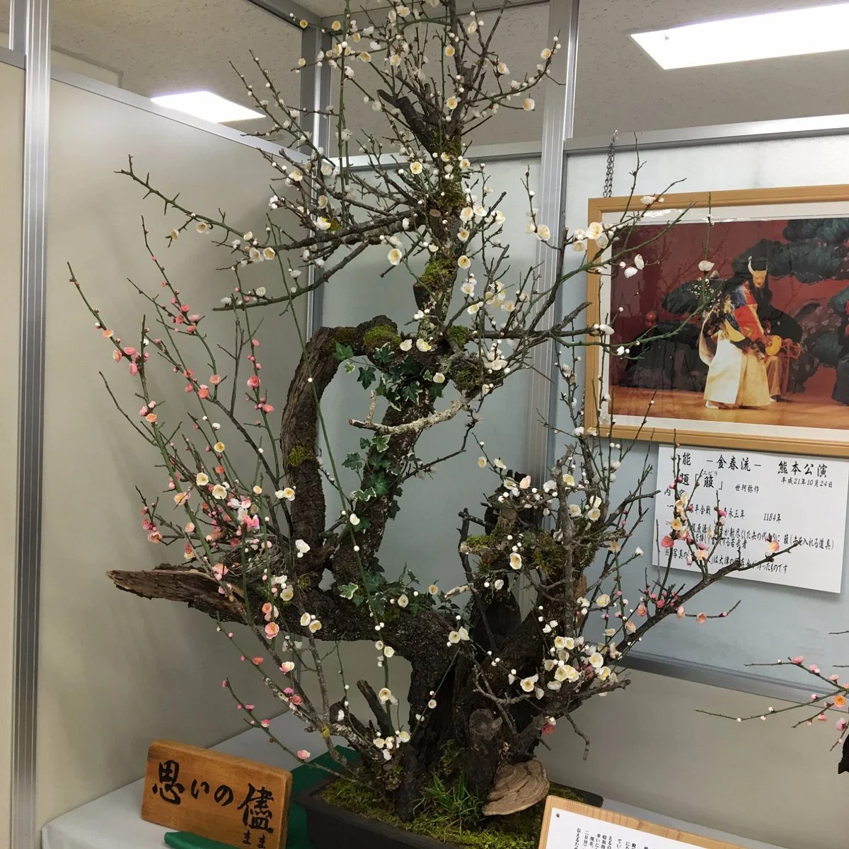Ozu Town History and Culture Tradition Museum